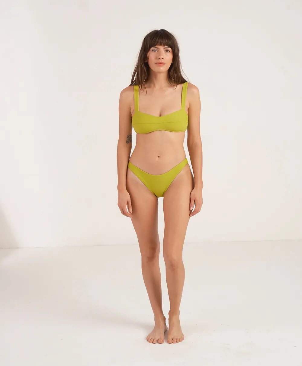 GALAMAAR® Curve Brief