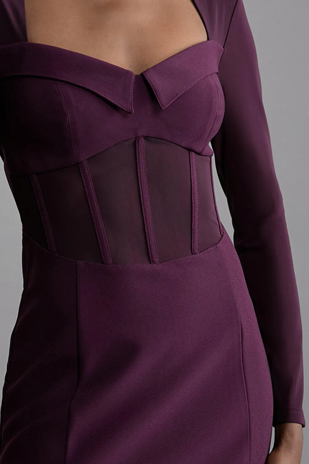 Scuba Crepe And Power Mesh Corset Detail Mini Dress