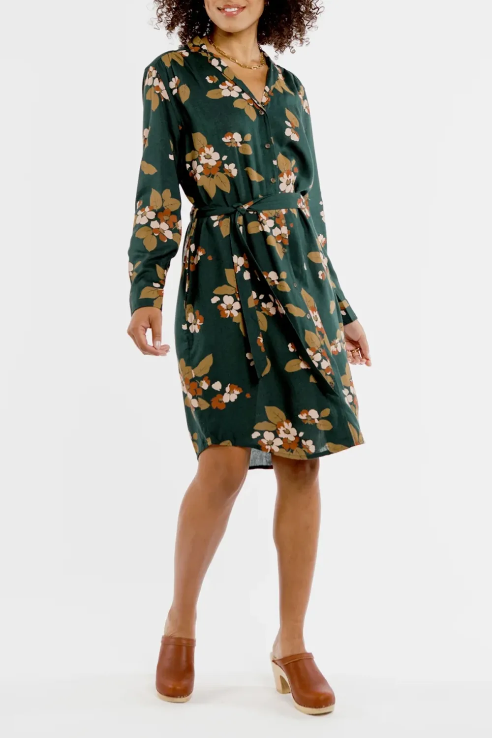 The V-Neck Shirt Dress