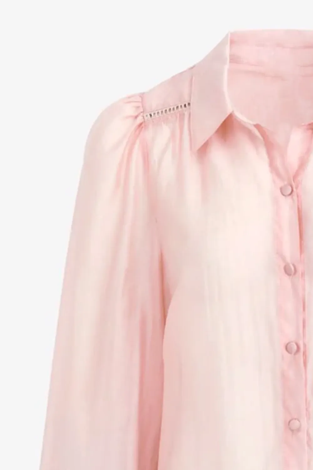 Elegant Lace Long Sleeve Shirt