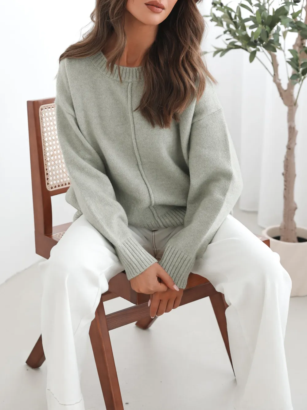 Casual  Crew Neck Knit