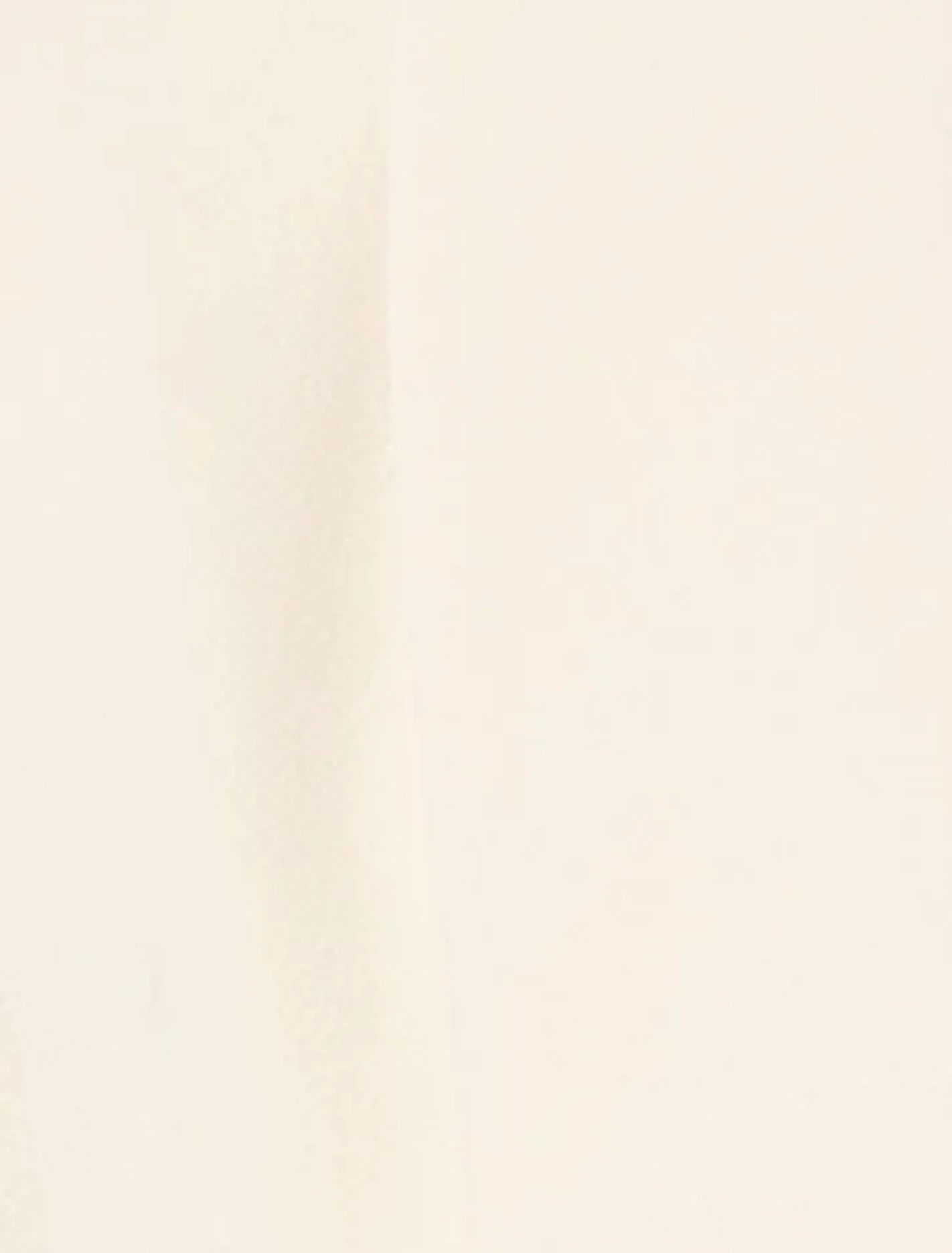 Cropped Jacket