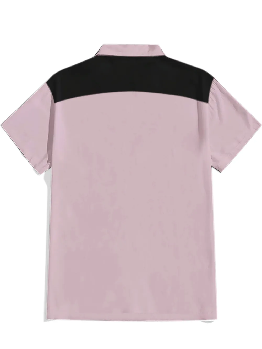 Bird Brains And Lightning Shirt
