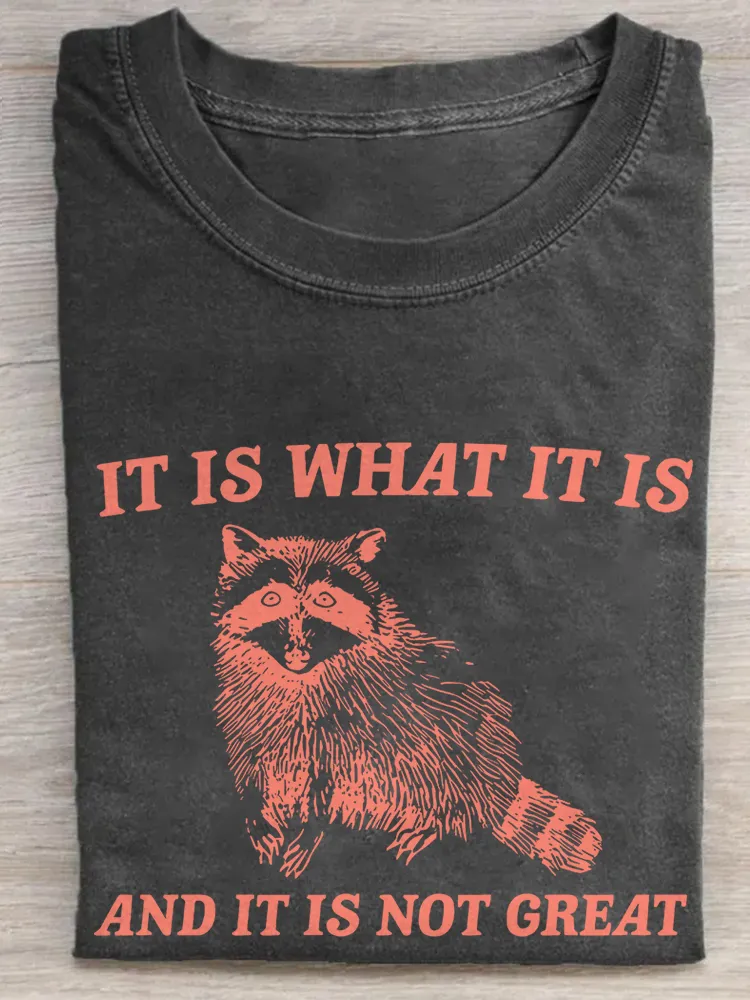 It Is What It Is And It Is Not Great T-Shirt