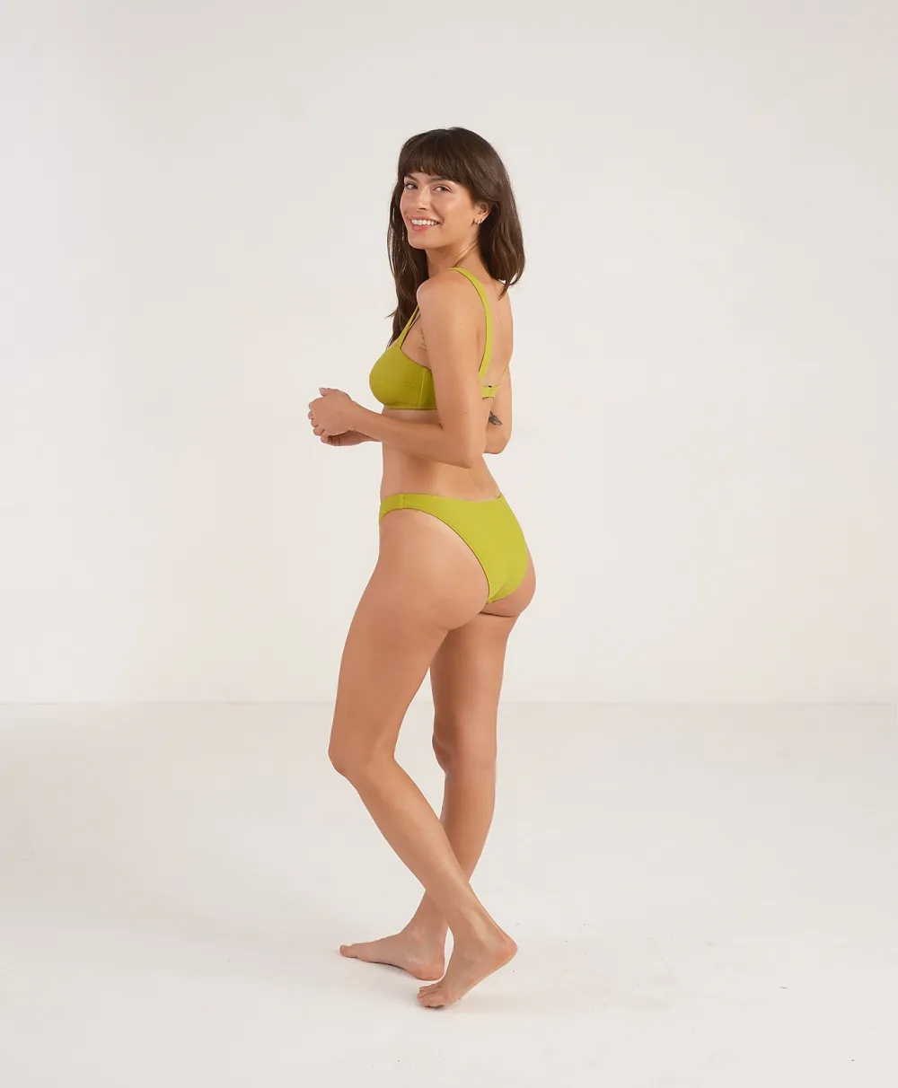 GALAMAAR® Curve Brief