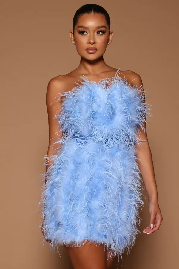 Lorina Feather Mini Dress - Blue
